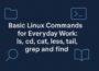 Linux Commands for Everyday Work: ls, cd, cat, less, tail, grep and find