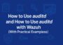 How to Use auditd and Integrate It with Wazuh
