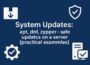 System Updates on Linux Servers
